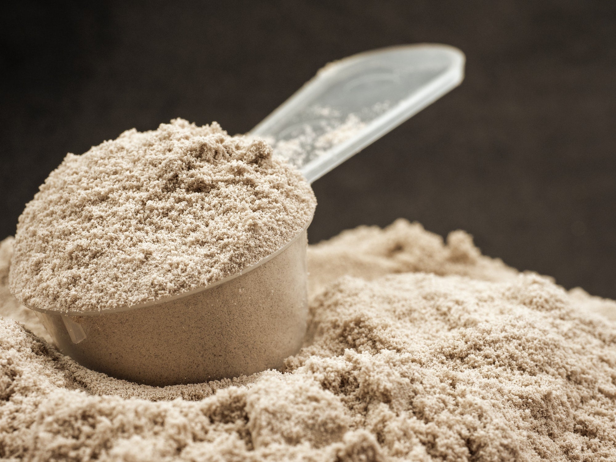 What Are The Different Types Of Whey?