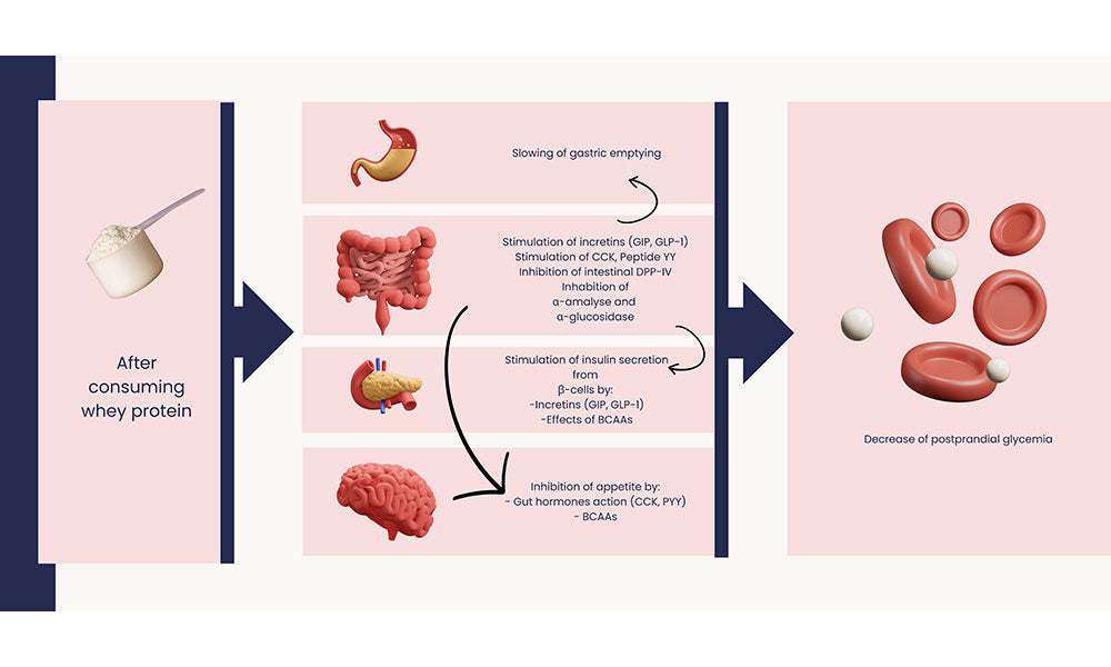 Management of glycemia and blood lipids