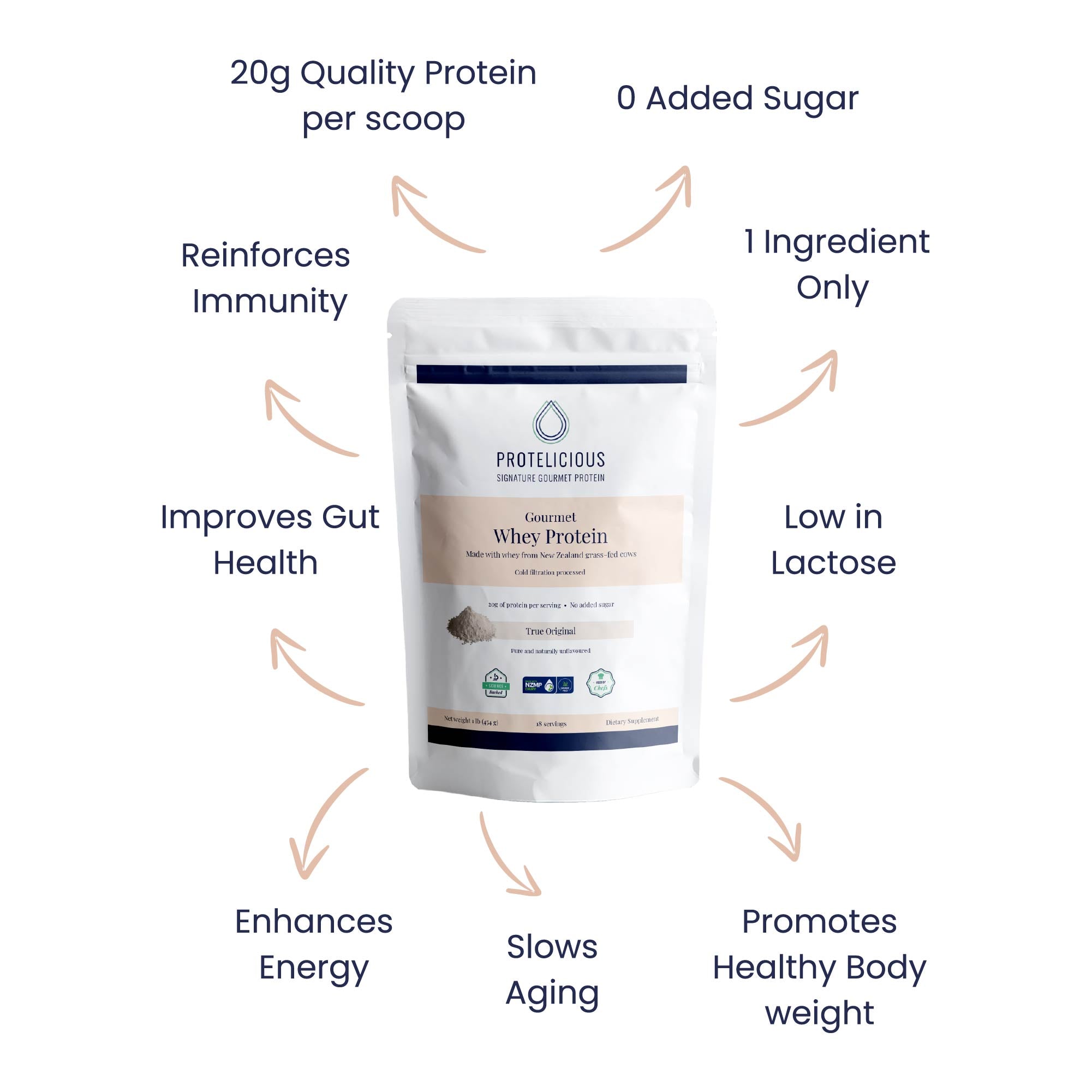 Gourmet Whey Protein – True Original