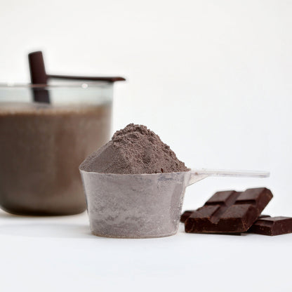 Gourmet Whey Protein – True Chocolate  Powder