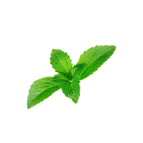 Steviol Glycosides (Stevia)